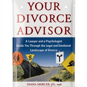 Touchstone Family Law Kindle Book English Edition 361 Pages-0