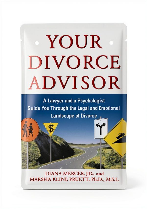 Touchstone Family Law Kindle Book English Edition 361 Pages-0