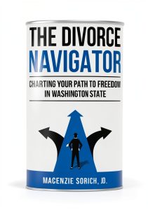 Million Dollar Author Press Family Law Book Kindle Edition-0