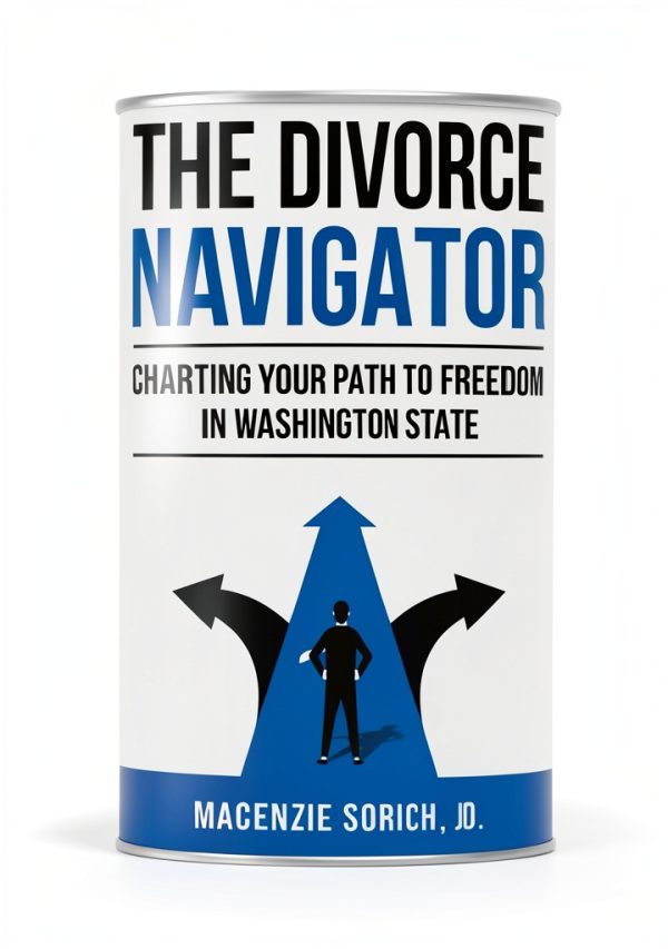 Million Dollar Author Press Family Law Book Kindle Edition-0