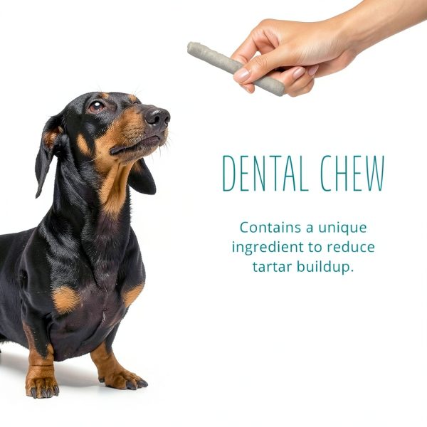 Tetra Better Belly Dental Rolls Rawhide Chews Large & Small Packs-2