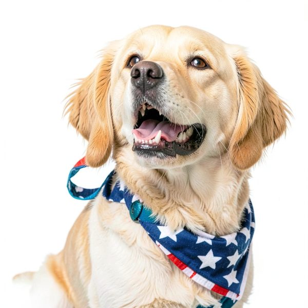 Pet Factory Beefhide Rolls 8 Inch Natural Flavor Chew Treats 15 Count-8
